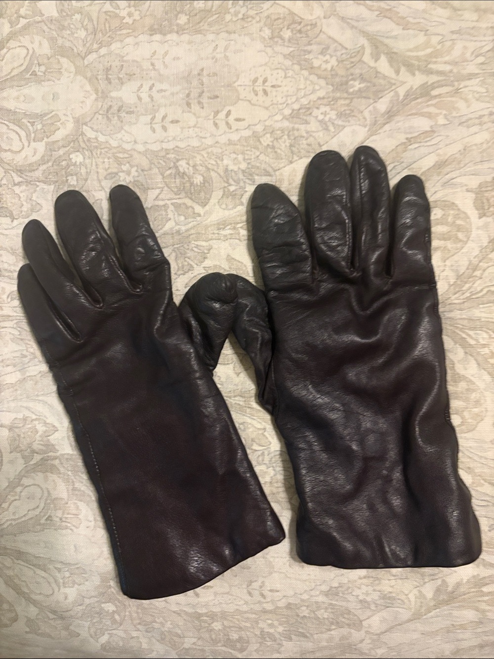 Women’s Classic Leather Cashmere lined Gloves in Dark Brown.